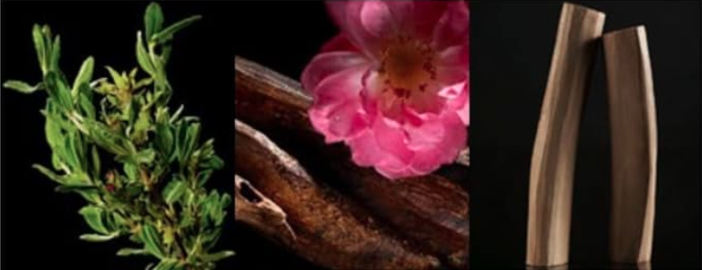 Oud Ispahan – Image 4